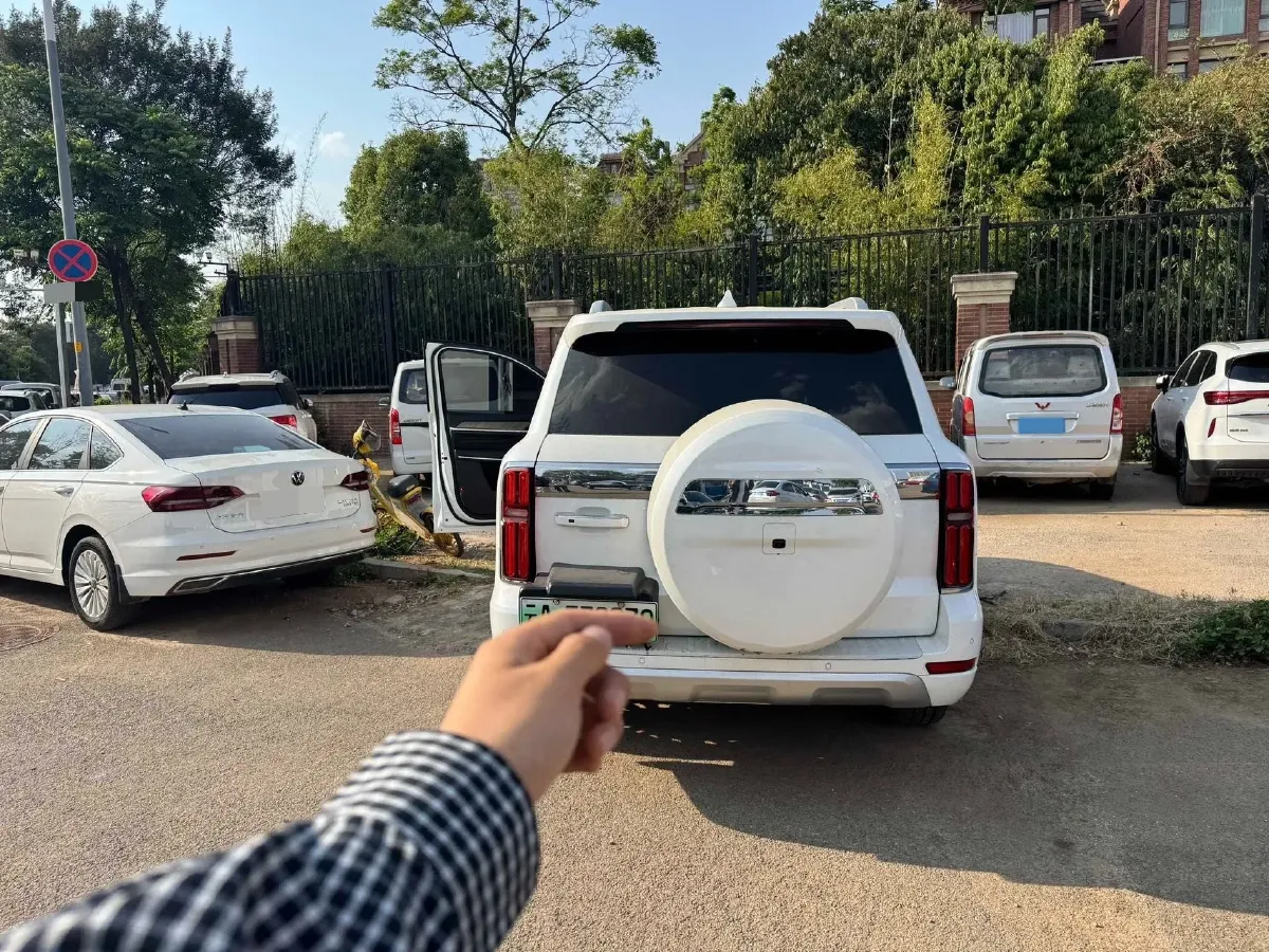 2023 Tank 500 2.0T 252HP L4 9AT PHEV 37.1KWH,autocango,china used car exporter,china ev exporter,chinese used car exporter,chinese used ev exporter
