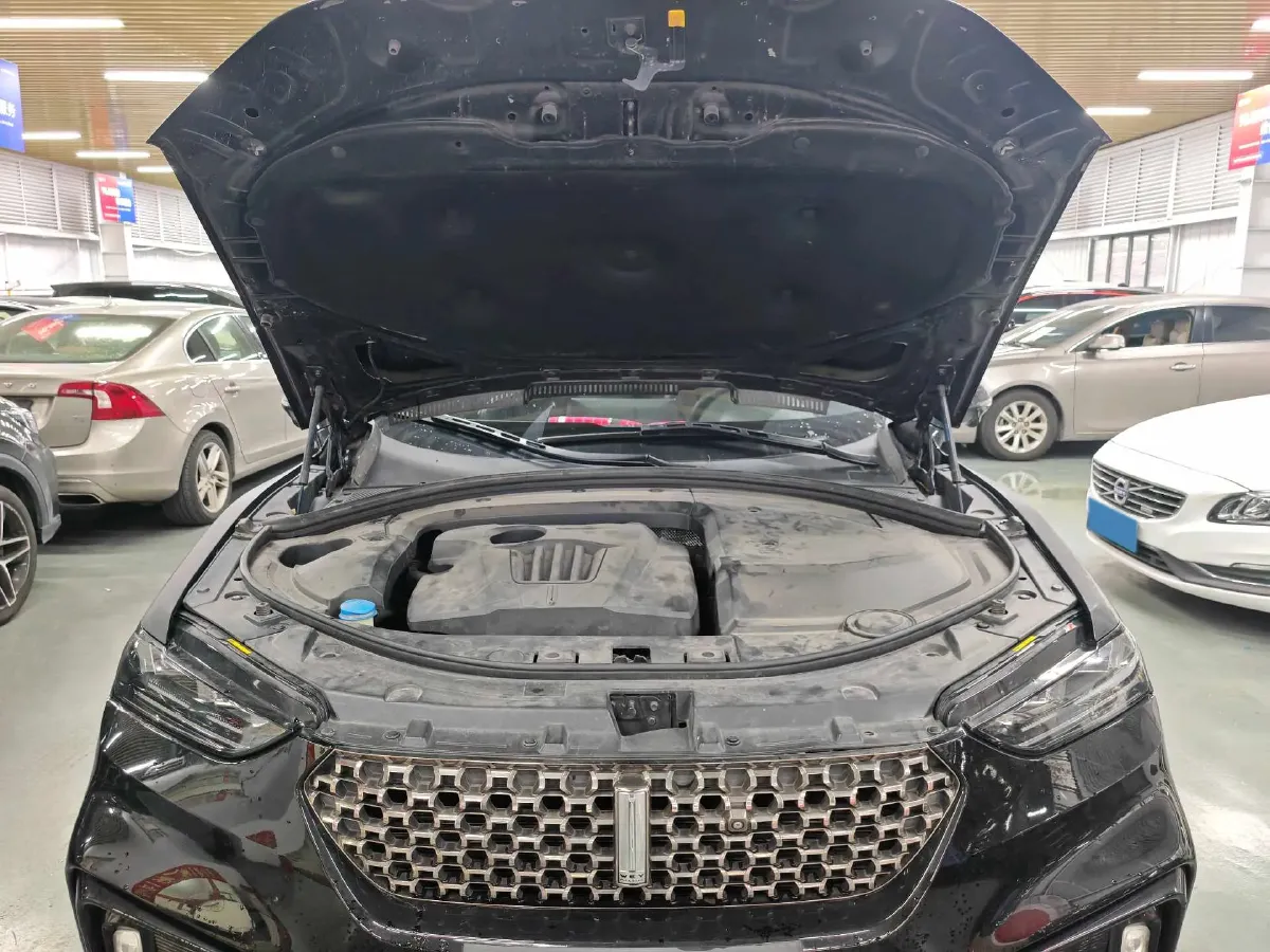 2020 WEY VV7 2.0T 227HP L4 7DCT,autocango,china used car exporter,china ev exporter,chinese used car exporter,chinese used ev exporter