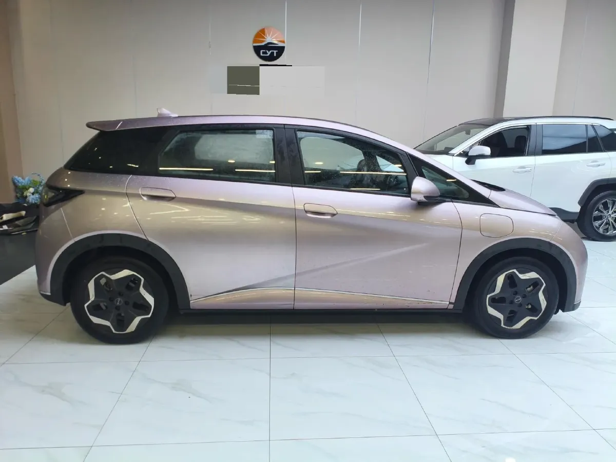 2021 BYD Yuan Pro BEV 50.1KWH,autocango,china used car exporter,china ev exporter,chinese used car exporter,chinese used ev exporter