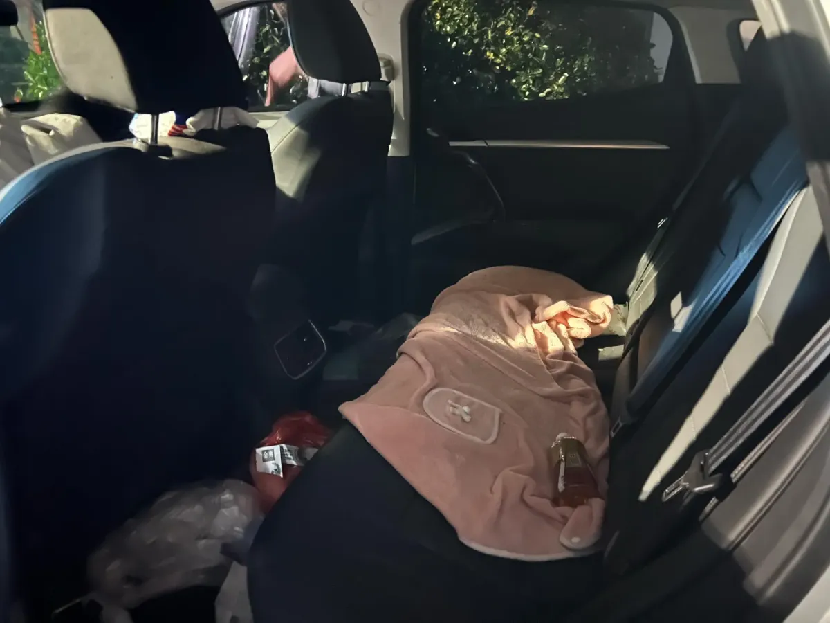 2019 Haval H4 1.5T 169HP L4 7DCT,autocango,china used car exporter,china ev exporter,chinese used car exporter,chinese used ev exporter