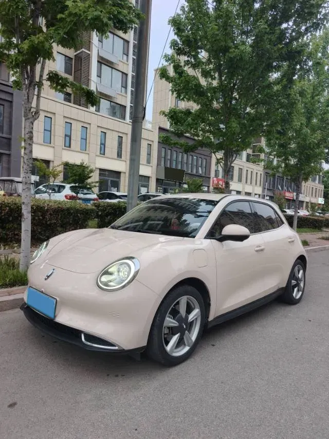2022 Ora FunkyCat BEV 45.99KWH,autocango,china used car exporter,china ev exporter,chinese used car exporter,chinese used ev exporter