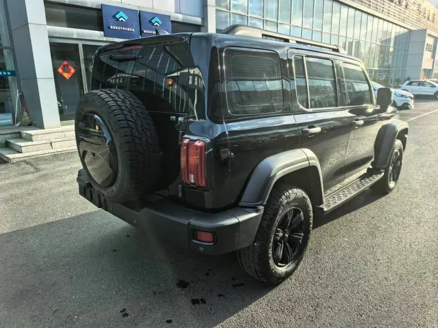 2021 Tank 300 2.0T 227HP L4 8AT,autocango,china used car exporter,china ev exporter,chinese used car exporter,chinese used ev exporter