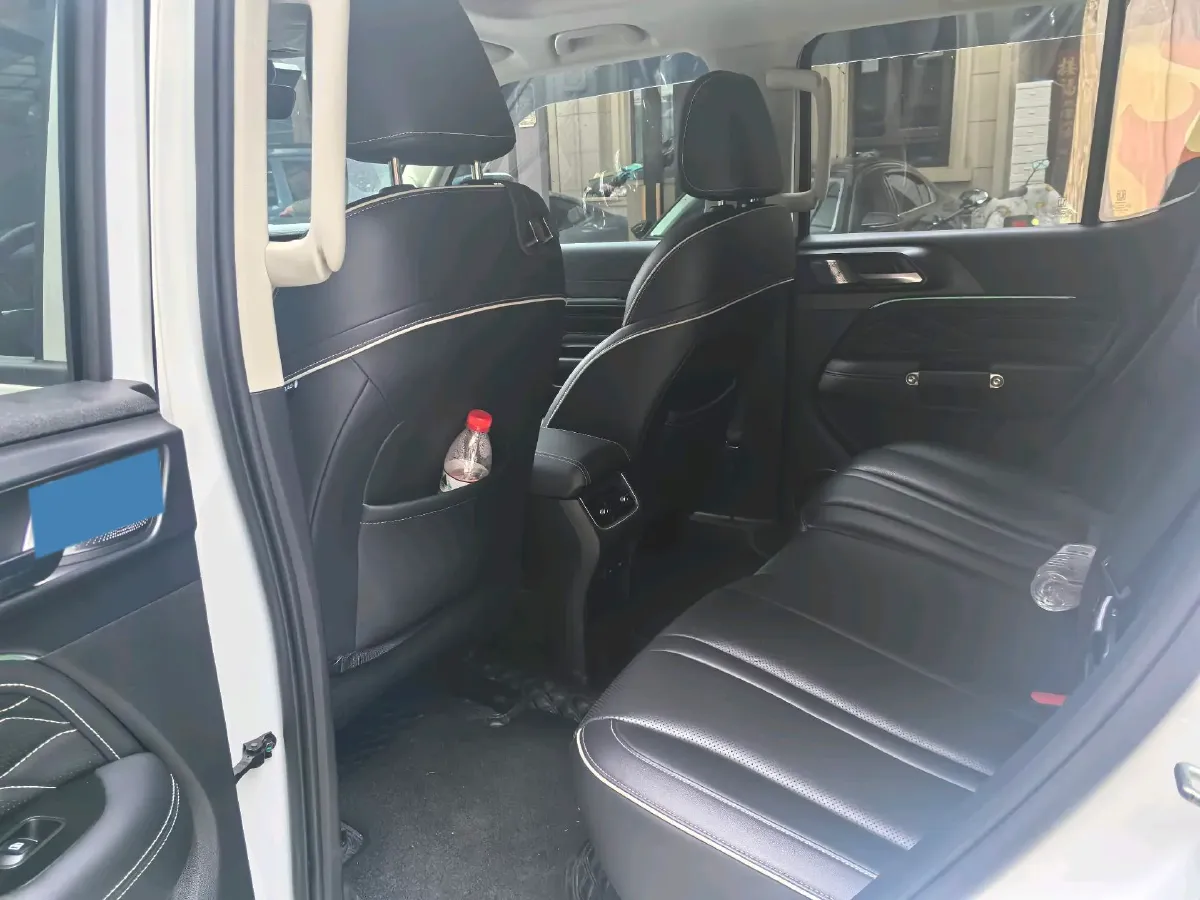 2023 Tank 300 2.0T 227HP L4 8AT,autocango,china used car exporter,china ev exporter,chinese used car exporter,chinese used ev exporter