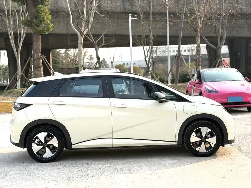 2023 BYD Dolphin BEV 44.928KWH,autocango,china used car exporter,china ev exporter,chinese used car exporter,chinese used ev exporter