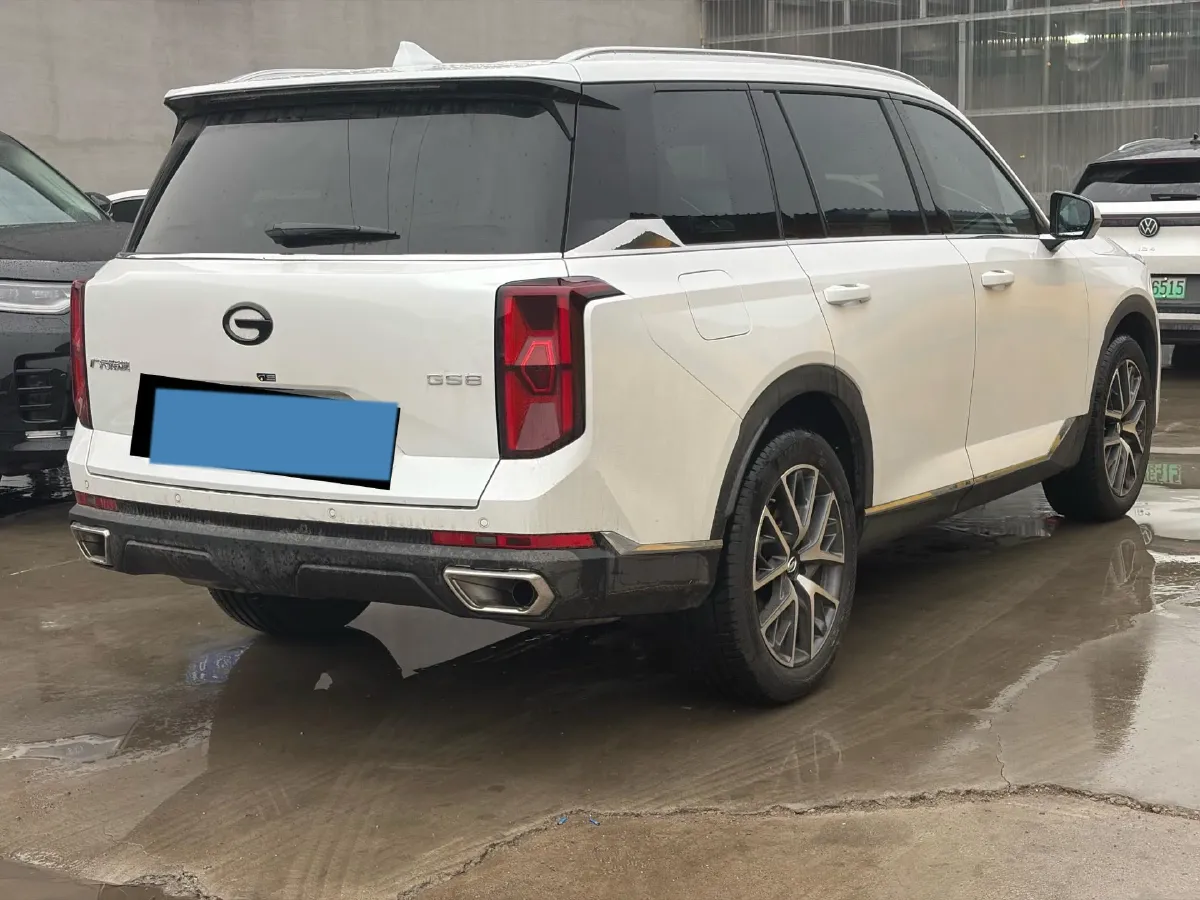 2025 GAC Trumpchi GS8 2.0T 252HP L4 8AT,autocango,china used car exporter,china ev exporter,chinese used car exporter,chinese used ev exporter