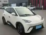 2024 BYD Seagull BEV 30.08KWH