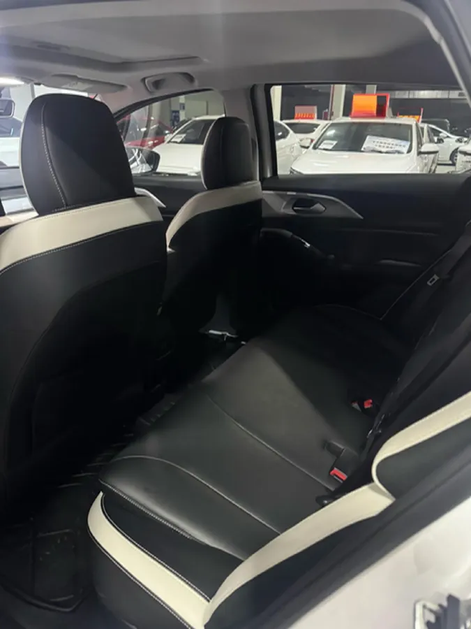 2023 Geometry E BEV 39.4KWH,autocango,china used car exporter,china ev exporter,chinese used car exporter,chinese used ev exporter