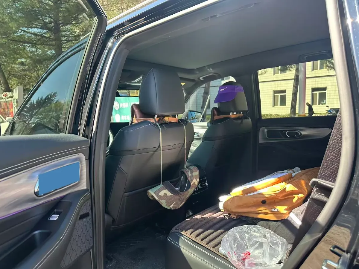 2025 GAC Trumpchi GS8 2.0T 252HP L4 8AT,autocango,china used car exporter,china ev exporter,chinese used car exporter,chinese used ev exporter