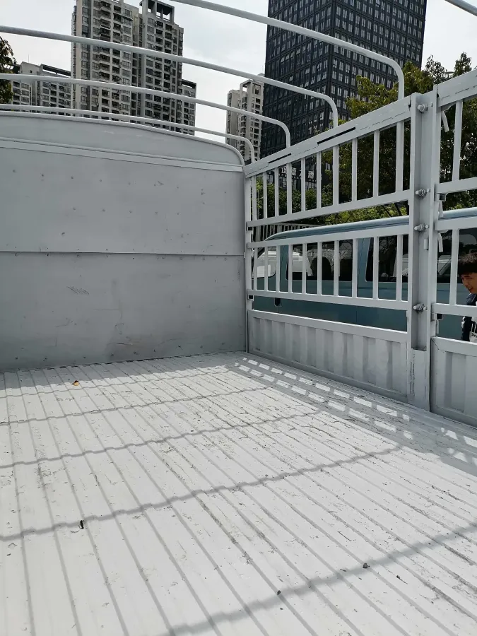 2021 DongFeng FuKang e Elysee BEV 30.7KWH,autocango,china used car exporter,china ev exporter,chinese used car exporter,chinese used ev exporter