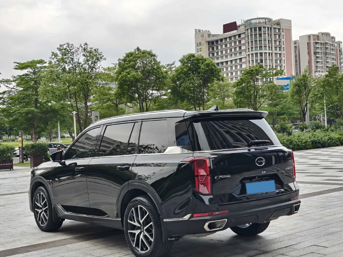 2024 GAC Trumpchi GS8 2.0T 252HP L4 8AT,autocango,china used car exporter,china ev exporter,chinese used car exporter,chinese used ev exporter