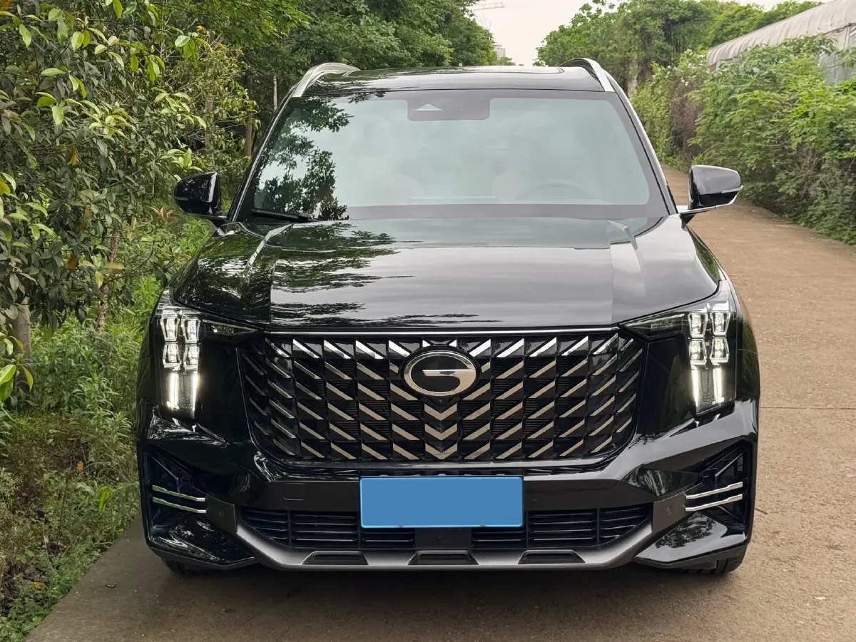 2025 GAC Trumpchi GS8 2.0T 252HP L4 8AT,autocango,china used car exporter,china ev exporter,chinese used car exporter,chinese used ev exporter