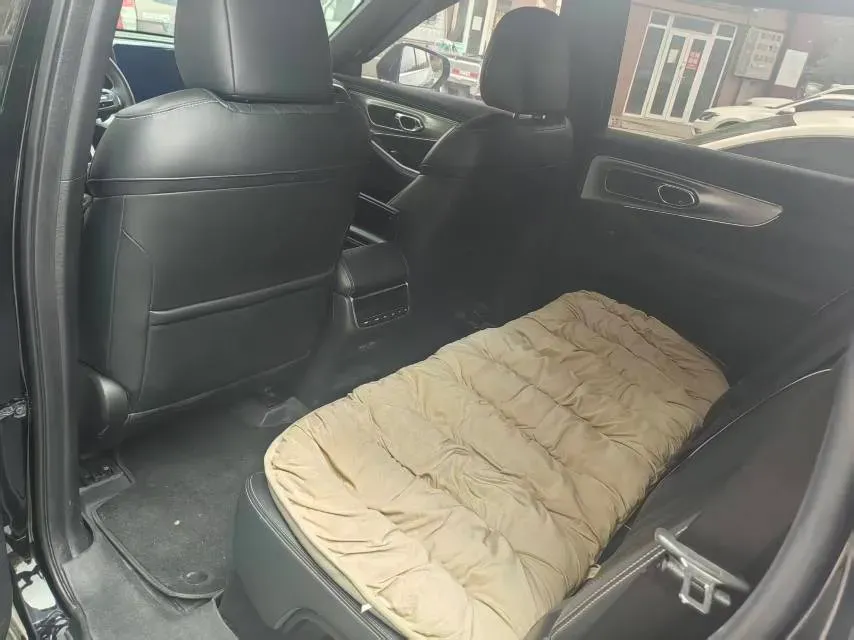 2022 GAC Trumpchi GS8 2.0T 252HP L4 8AT,autocango,china used car exporter,china ev exporter,chinese used car exporter,chinese used ev exporter