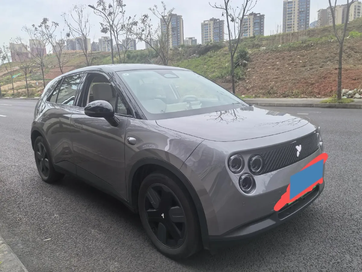 2025 Firefly Firefly BEV,autocango,china used car exporter,china ev exporter,chinese used car exporter,chinese used ev exporter
