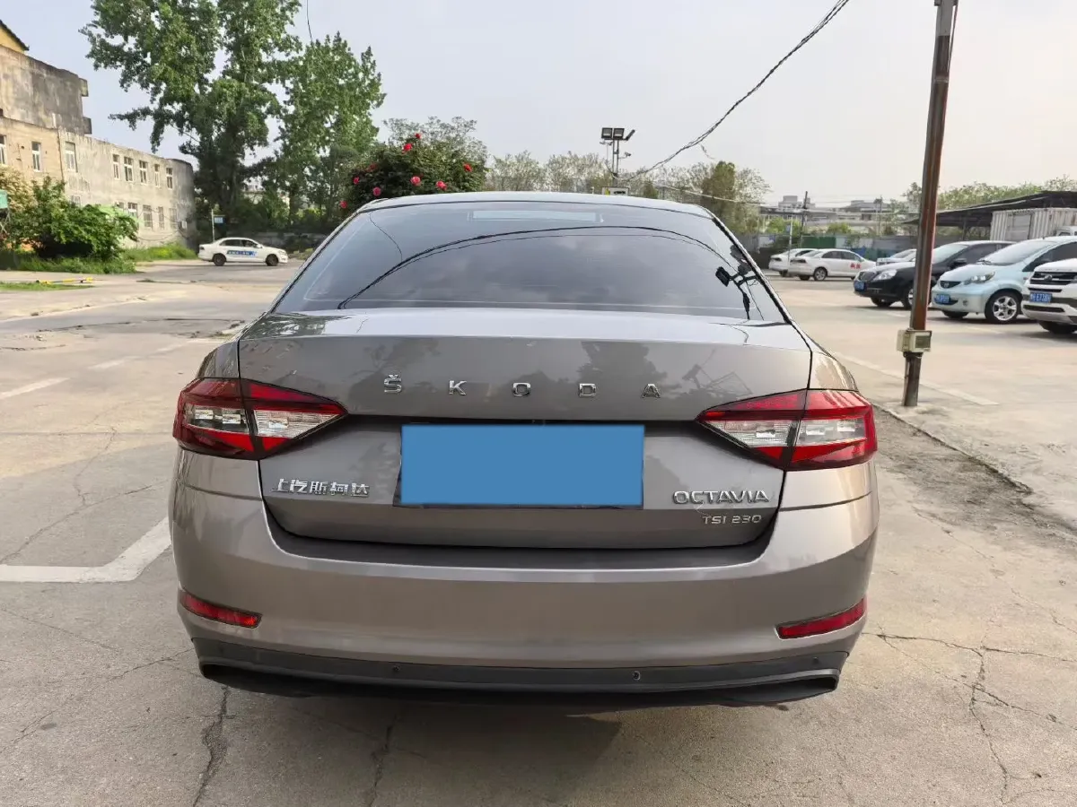 2019 Skoda Octavia 1.2T 116HP L4 7DCT,autocango,china used car exporter,china ev exporter,chinese used car exporter,chinese used ev exporter