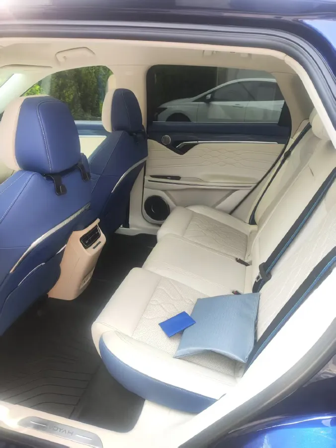 2021 Voyah FREE Range Extended 109HP REEV 33KWH,autocango,china used car exporter,china ev exporter,chinese used car exporter,chinese used ev exporter