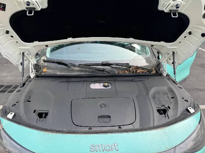 2024 Smart smart Elf 3 BEV 49KWH,autocango,china used car exporter,china ev exporter,chinese used car exporter,chinese used ev exporter