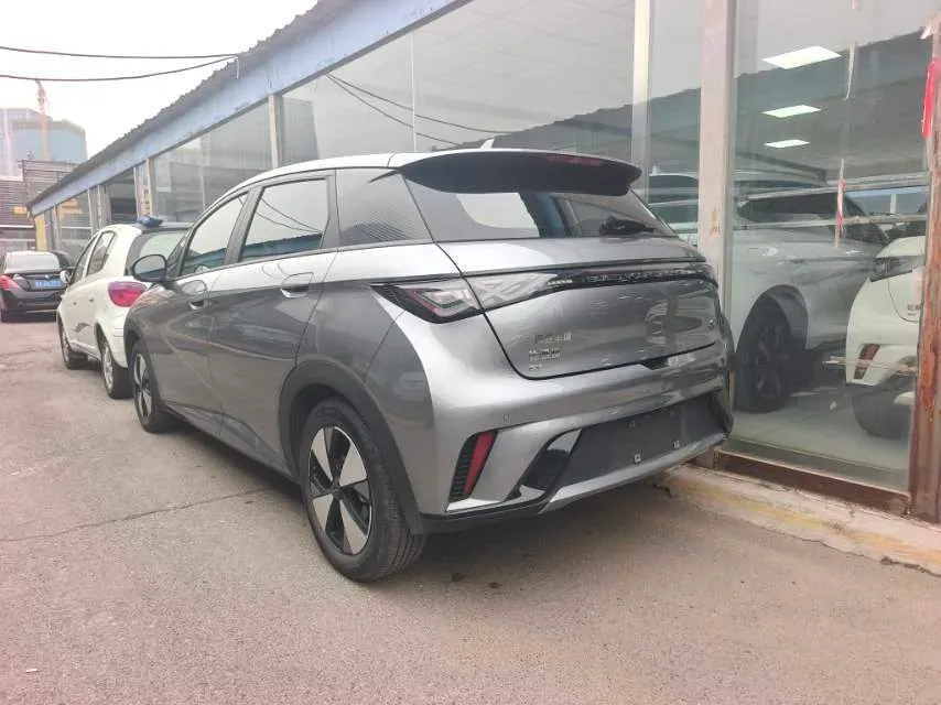 2023 BYD Dolphin BEV 44.928KWH,autocango,china used car exporter,china ev exporter,chinese used car exporter,chinese used ev exporter