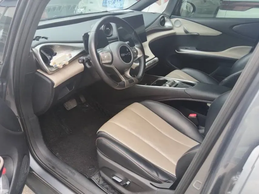 2023 BYD Dolphin BEV 44.928KWH,autocango,china used car exporter,china ev exporter,chinese used car exporter,chinese used ev exporter