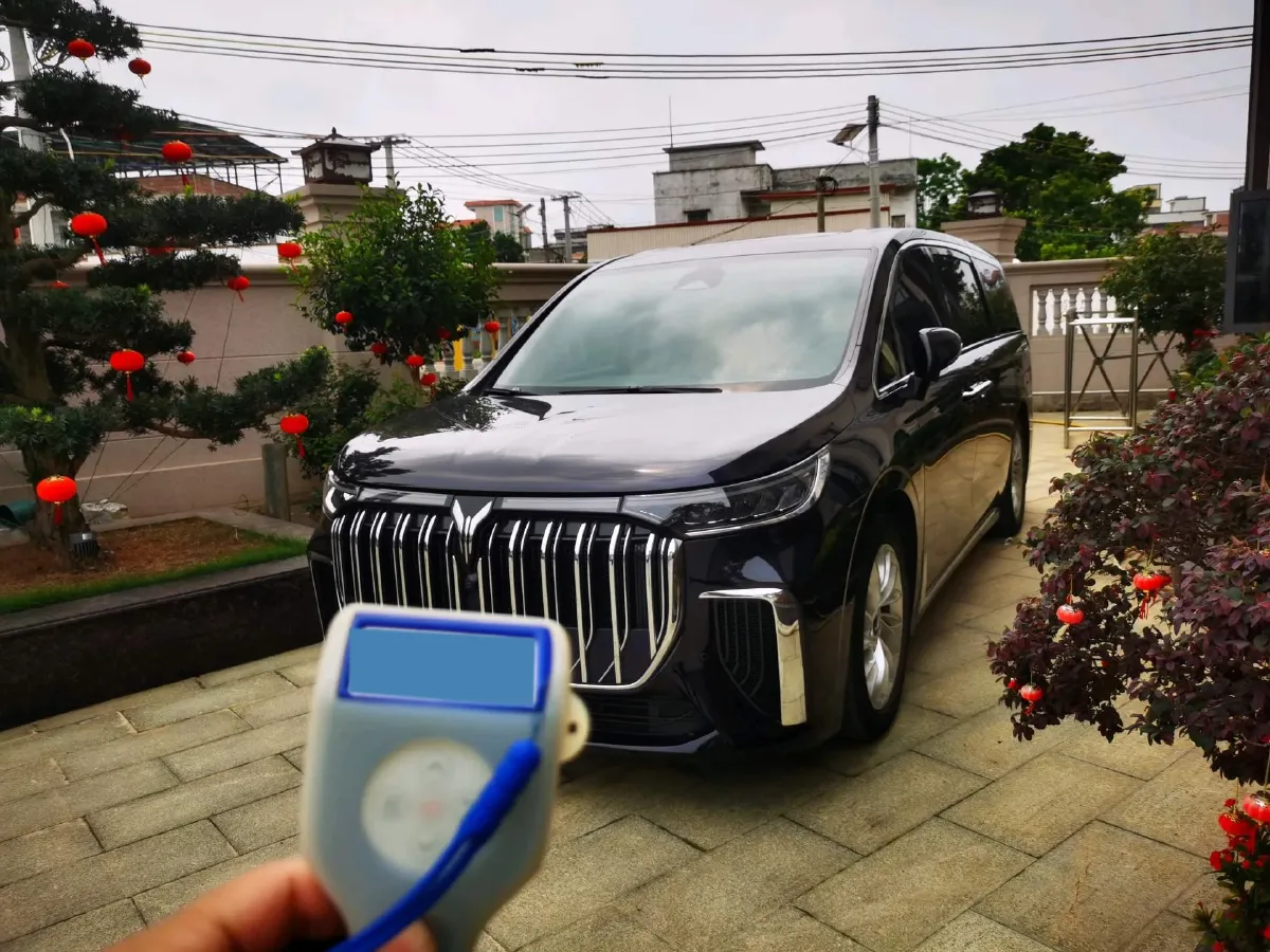 2024 Voyah Dream 1.5T 150HP L4 PHEV 43KWH,autocango,china used car exporter,china ev exporter,chinese used car exporter,chinese used ev exporter