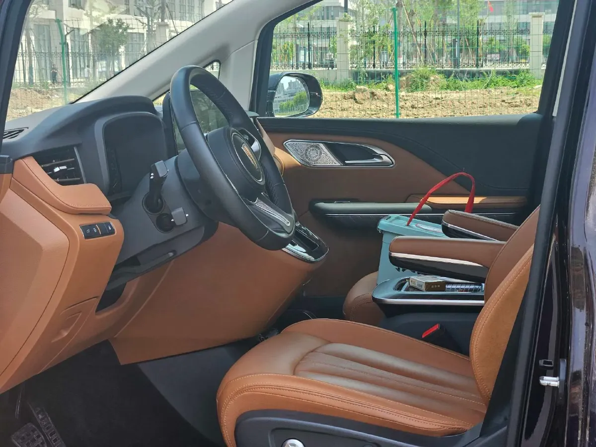 2024 HongQi HQ9 2.0T 163HP L4 1DHT PHEV 20.14KWH,autocango,china used car exporter,china ev exporter,chinese used car exporter,chinese used ev exporter