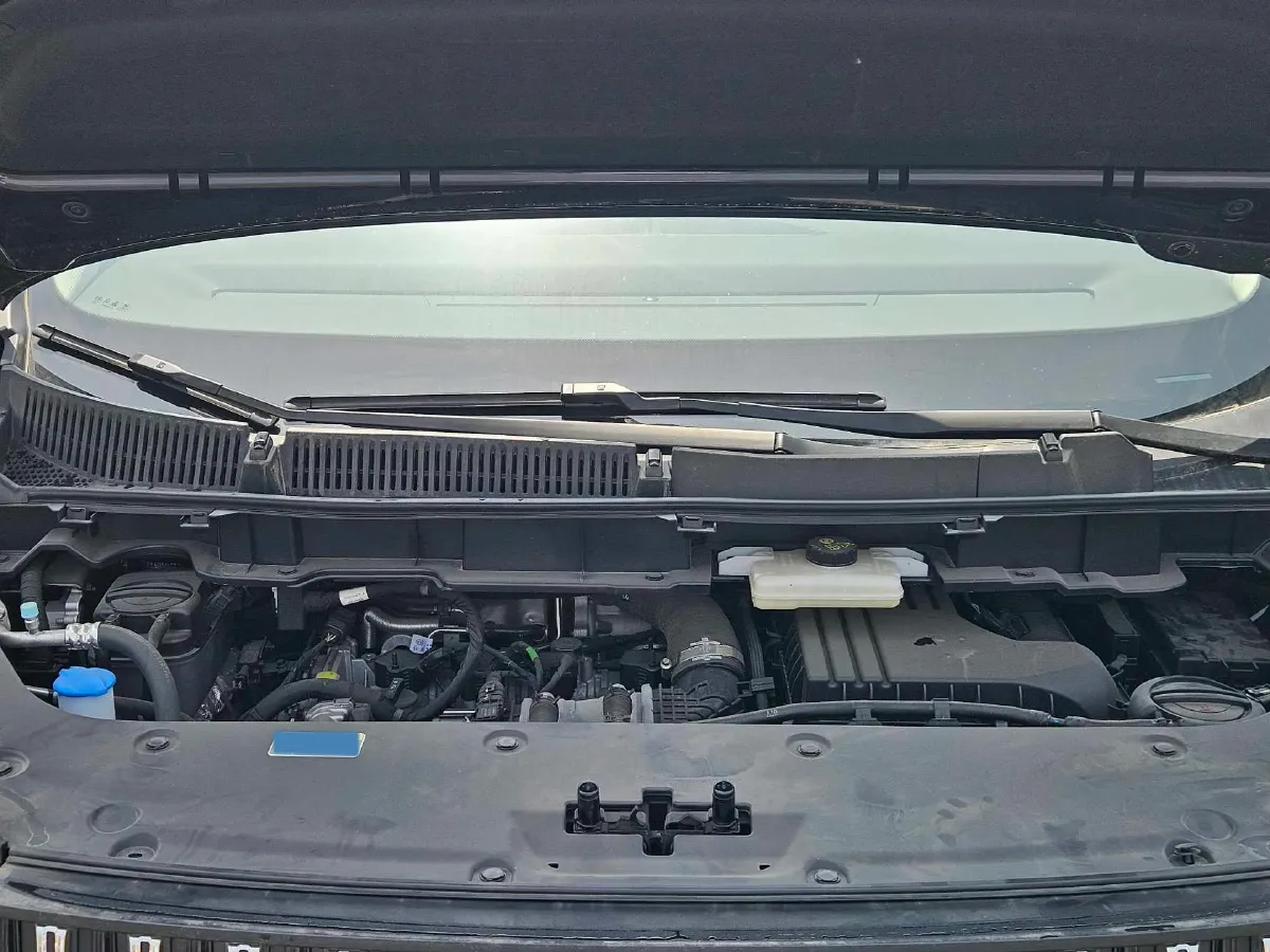 2024 HongQi HQ9 2.0T 163HP L4 1DHT PHEV 20.14KWH,autocango,china used car exporter,china ev exporter,chinese used car exporter,chinese used ev exporter