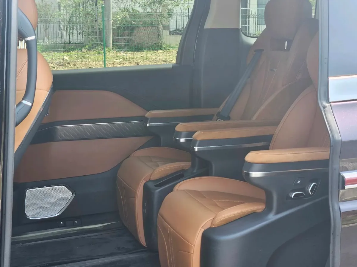 2024 HongQi HQ9 2.0T 163HP L4 1DHT PHEV 20.14KWH,autocango,china used car exporter,china ev exporter,chinese used car exporter,chinese used ev exporter