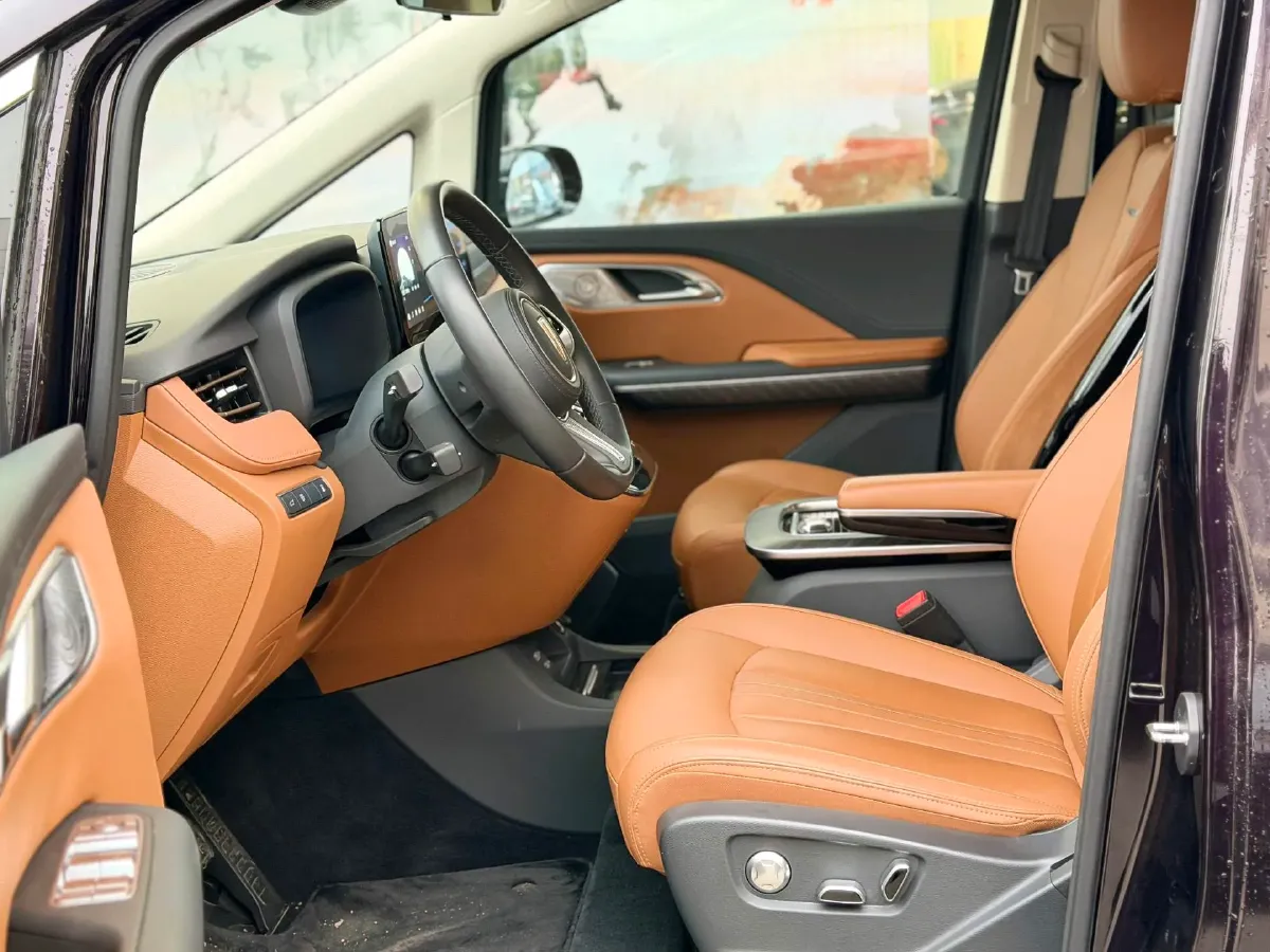 2024 HongQi HQ9 2.0T 163HP L4 1DHT PHEV 20.14KWH,autocango,china used car exporter,china ev exporter,chinese used car exporter,chinese used ev exporter