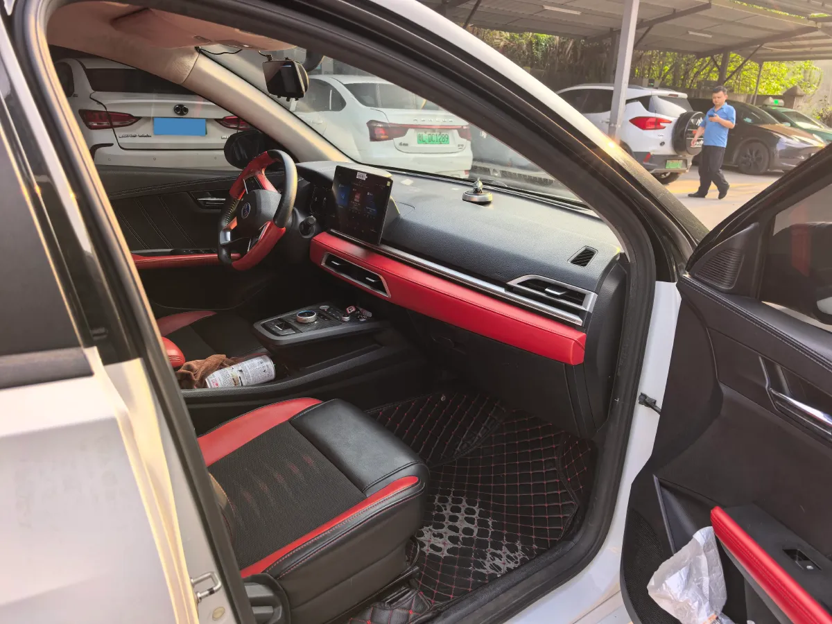 2019 BYD e2 BEV 47.3KWH,autocango,china used car exporter,china ev exporter,chinese used car exporter,chinese used ev exporter