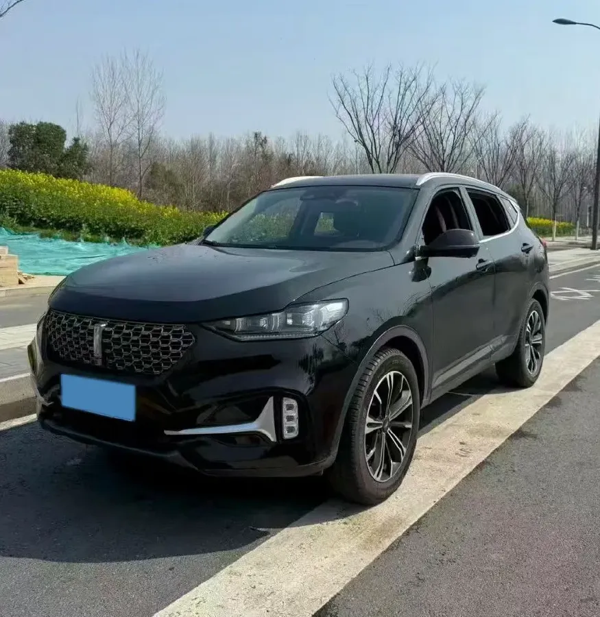 2020 WEY VV6 2.0T 227HP L4 7DCT,autocango,china used car exporter,china ev exporter,chinese used car exporter,chinese used ev exporter