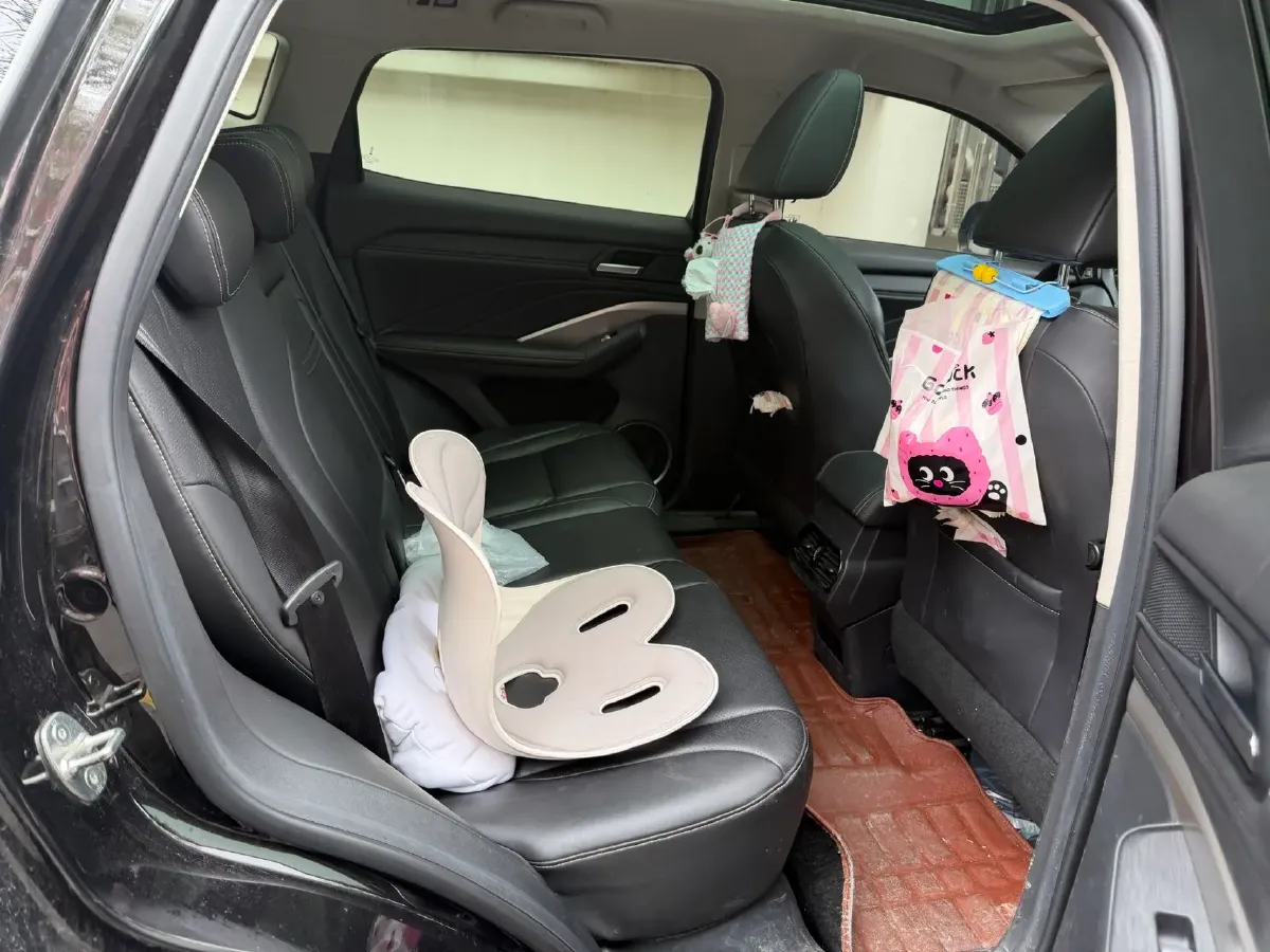 2020 WEY VV6 2.0T 227HP L4 7DCT,autocango,china used car exporter,china ev exporter,chinese used car exporter,chinese used ev exporter