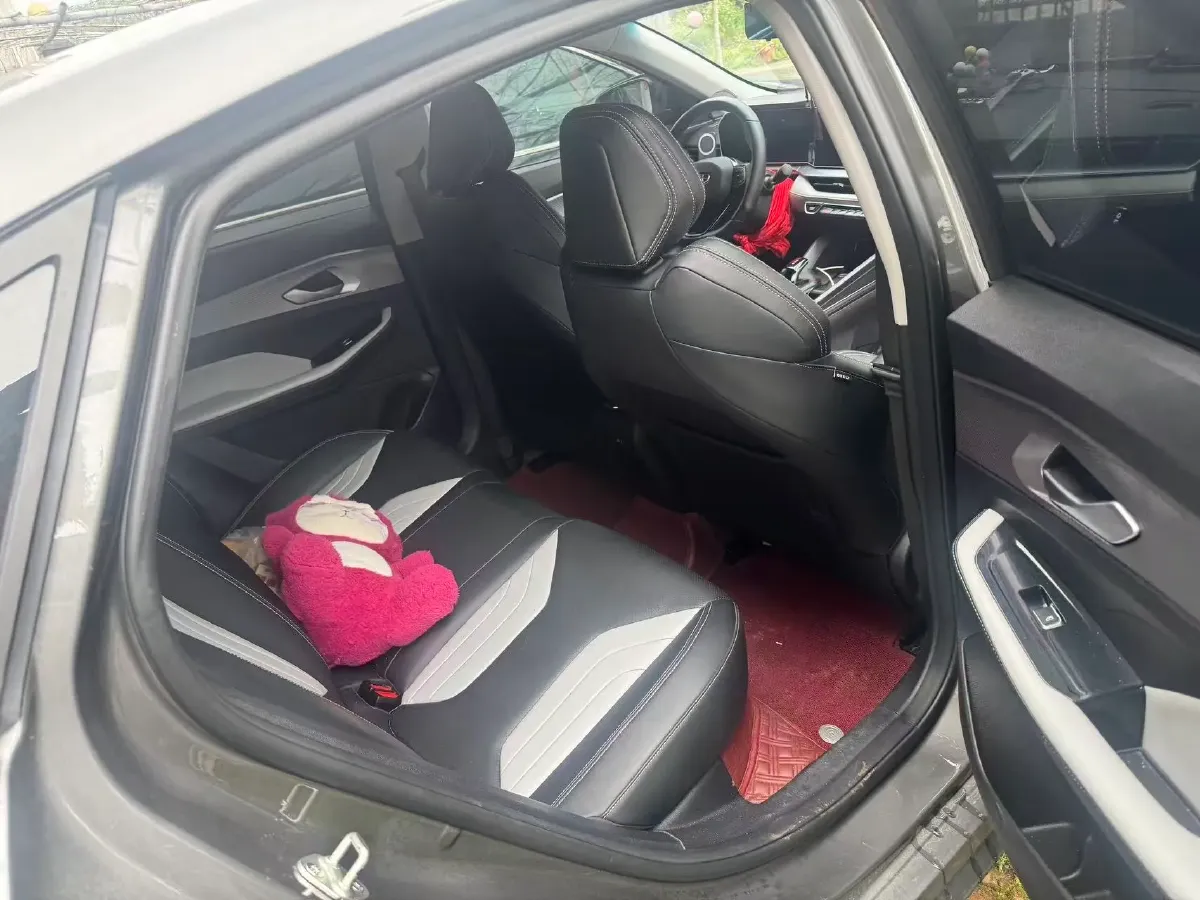 2024 Geely Binray 1.5T 181HP L4 7DCT,autocango,china used car exporter,china ev exporter,chinese used car exporter,chinese used ev exporter