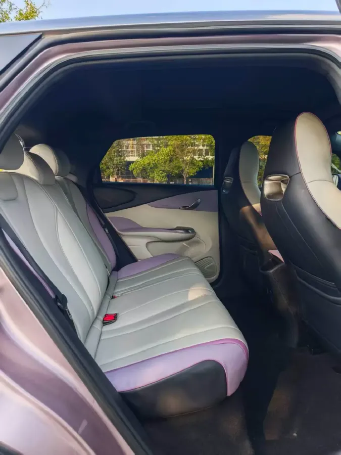 2021 BYD Yuan Pro BEV 50.1KWH,autocango,china used car exporter,china ev exporter,chinese used car exporter,chinese used ev exporter