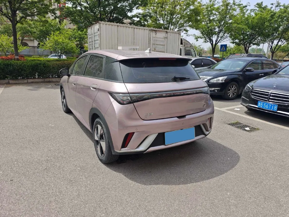 2023 BYD Dolphin BEV 44.928KWH,autocango,china used car exporter,china ev exporter,chinese used car exporter,chinese used ev exporter