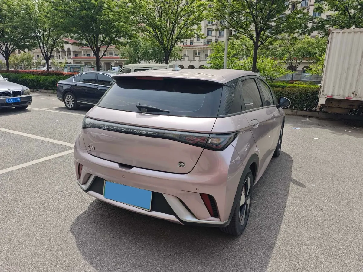 2023 BYD Dolphin BEV 44.928KWH,autocango,china used car exporter,china ev exporter,chinese used car exporter,chinese used ev exporter