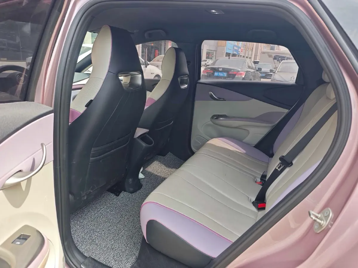 2023 BYD Dolphin BEV 44.928KWH,autocango,china used car exporter,china ev exporter,chinese used car exporter,chinese used ev exporter