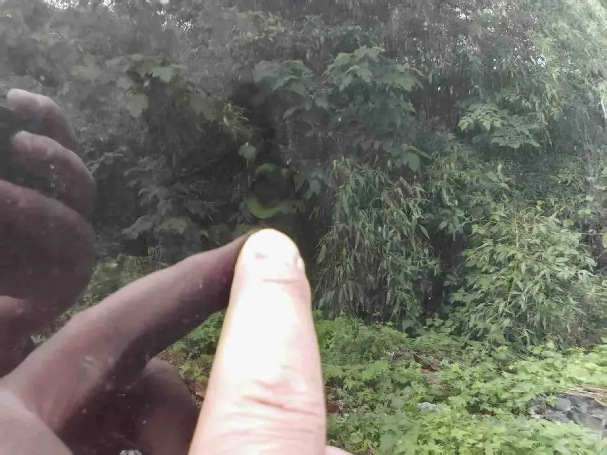 2025 Voyah Dream 1.5T 150HP L4 PHEV 41.7KWH,autocango,china used car exporter,china ev exporter,chinese used car exporter,chinese used ev exporter