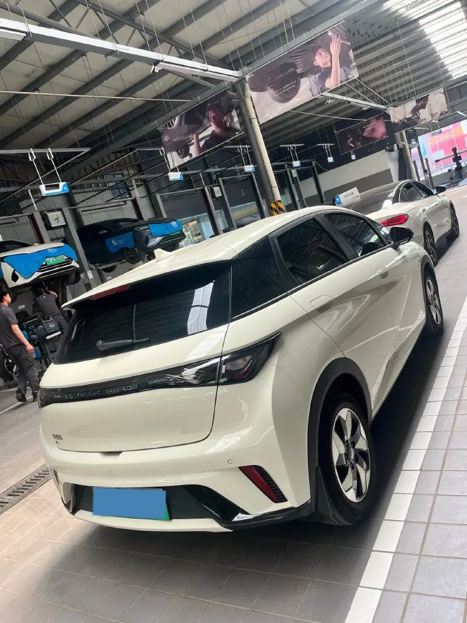 2025 BYD Dolphin BEV 44.928KWH,autocango,china used car exporter,china ev exporter,chinese used car exporter,chinese used ev exporter