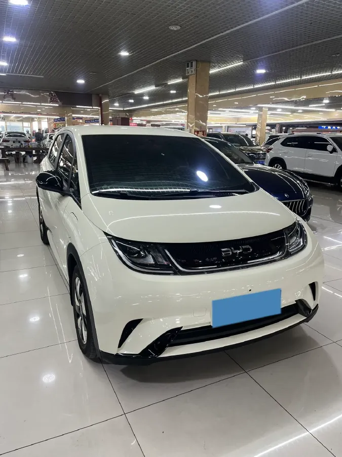 2025 BYD Dolphin BEV 44.928KWH,autocango,china used car exporter,china ev exporter,chinese used car exporter,chinese used ev exporter