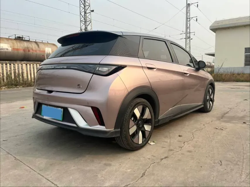 2021 BYD e2 BEV 43.2KWH,autocango,china used car exporter,china ev exporter,chinese used car exporter,chinese used ev exporter