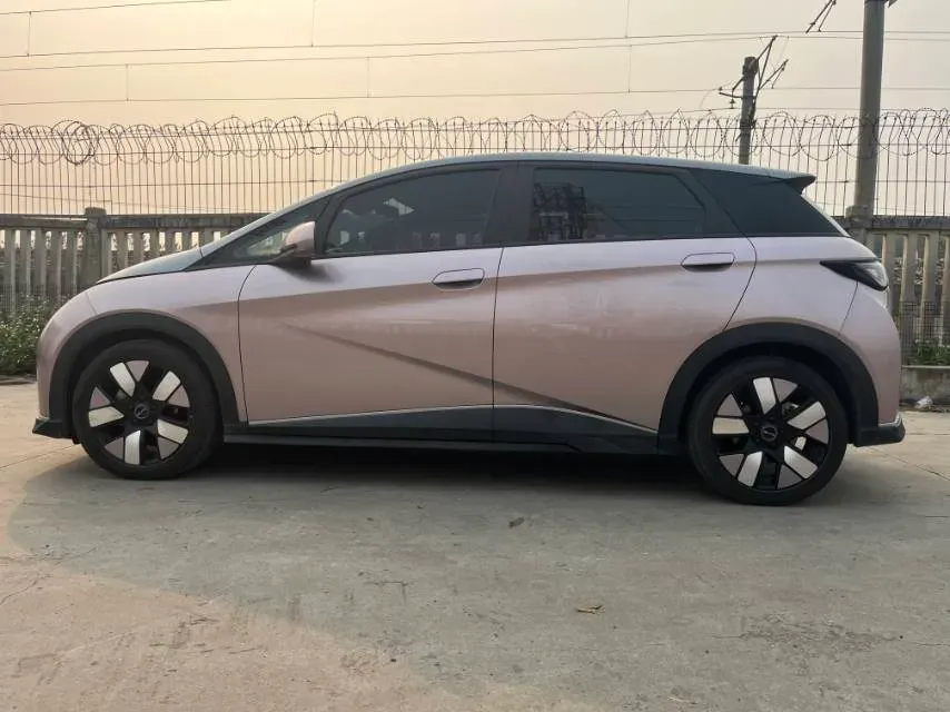 2021 BYD e2 BEV 43.2KWH,autocango,china used car exporter,china ev exporter,chinese used car exporter,chinese used ev exporter