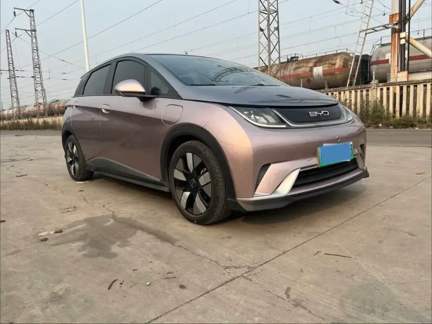 2021 BYD e2 BEV 43.2KWH,autocango,china used car exporter,china ev exporter,chinese used car exporter,chinese used ev exporter