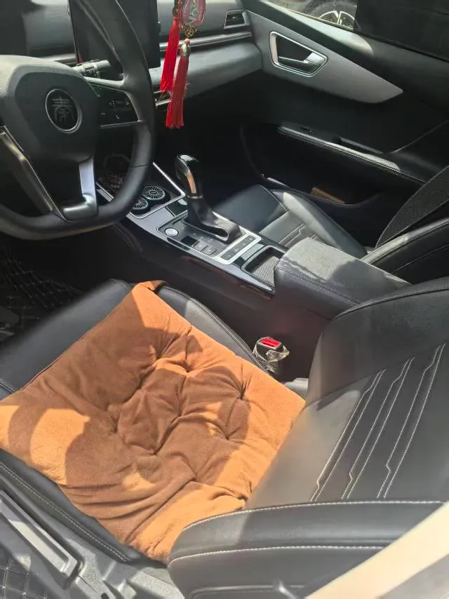 2019 BYD Qin 1.5L 109HP L4 CVT,autocango,china used car exporter,china ev exporter,chinese used car exporter,chinese used ev exporter