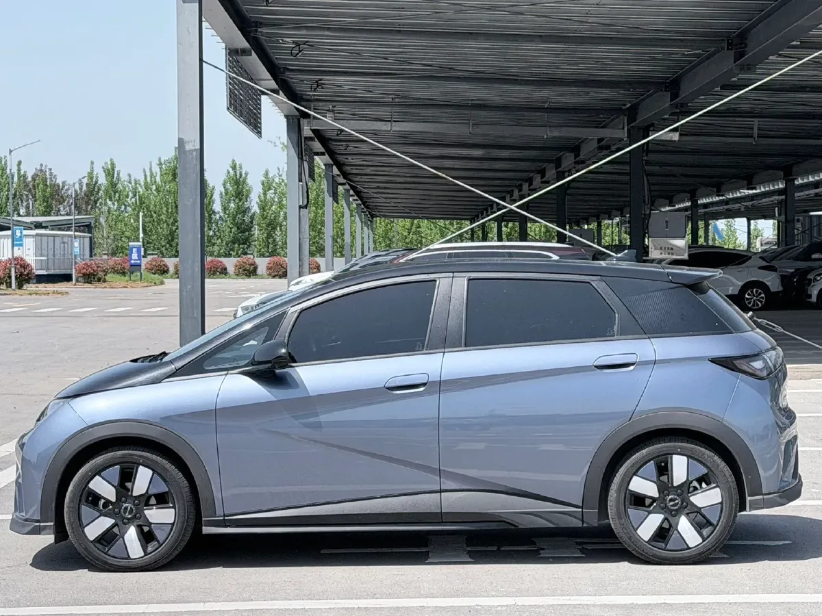 2023 BYD Dolphin BEV 44.928KWH,autocango,china used car exporter,china ev exporter,chinese used car exporter,chinese used ev exporter