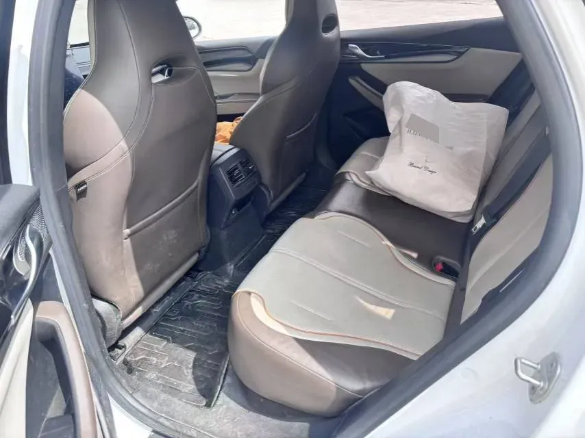 2023 BYD Qin Plus BEV 57.6KWH,autocango,china used car exporter,china ev exporter,chinese used car exporter,chinese used ev exporter