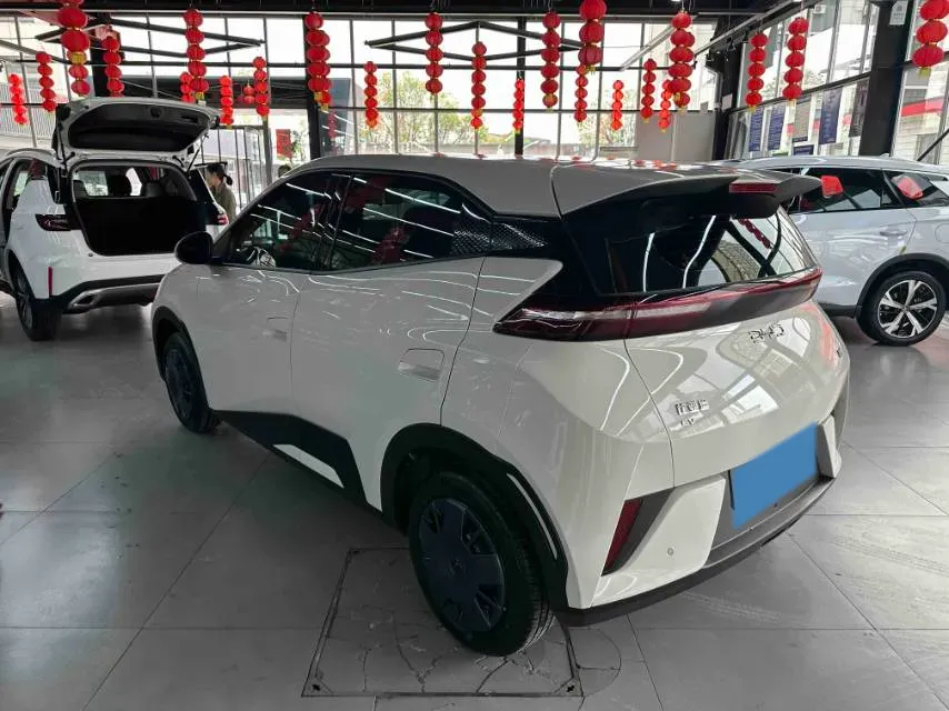 2025 BYD Seagull BEV 30.08KWH,autocango,china used car exporter,china ev exporter,chinese used car exporter,chinese used ev exporter