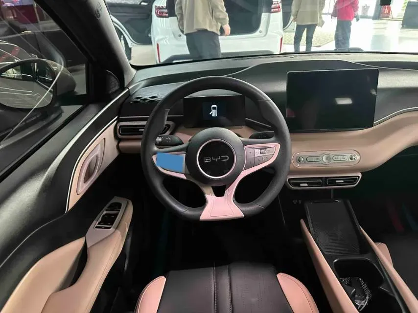 2025 BYD Seagull BEV 30.08KWH,autocango,china used car exporter,china ev exporter,chinese used car exporter,chinese used ev exporter