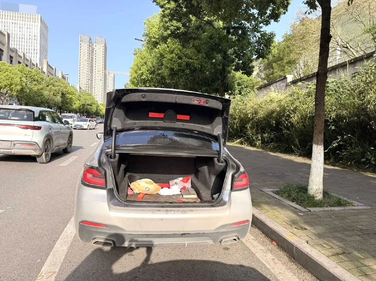 2021 BMW 5 Series 2.0T 252HP L4 8AT,autocango,china used car exporter,china ev exporter,chinese used car exporter,chinese used ev exporter