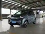 2019 Chery Little Ant BEV 30.6KWH