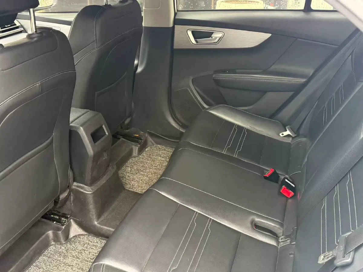 2019 BYD Qin BEV 53.1KWH,autocango,china used car exporter,china ev exporter,chinese used car exporter,chinese used ev exporter