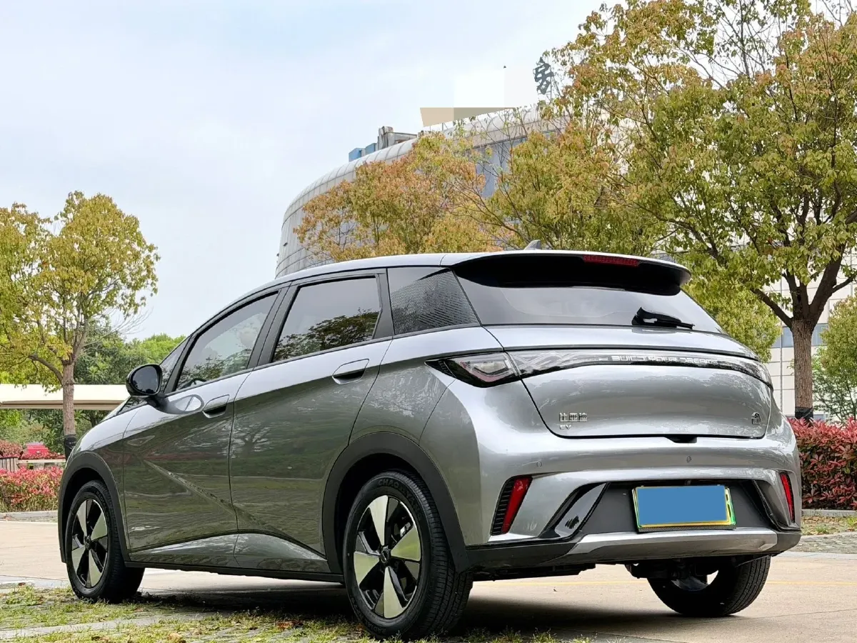 2023 BYD Dolphin BEV 44.928KWH,autocango,china used car exporter,china ev exporter,chinese used car exporter,chinese used ev exporter